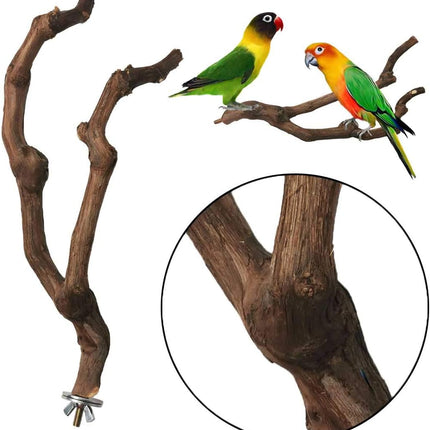 kathson Natural Parrot Perch Bird Stand Pole Wild Grape Stick Paw Grinding Fork Parakeet Climbing Standing Branches Toy Chewable Cage Accessories for Small Budgies Cockatiels Lovebirds 3PCS