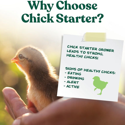 Manna Pro Medicated Chick Starter Grower Feed, Dried High Protein Chicken Food Crumbles with Amprolium for Coccidiosis Prevention, Complete Chicken Feed for Baby Chicks, 5 lb Bag