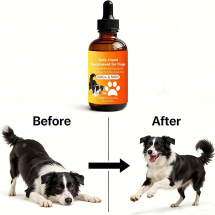 Dog Longevity Supplement with NMN, NAD+, CoQ10 & Resveratrol – Supports Joint Health, Vitality & Healthy Aging – 60-Day Nanoliposomal Drops for Better Absorption