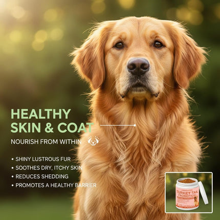 Lumiqour Turkey Tail for Dogs, Turkey Tail Mushroom Powder, Support Your Mature Dog’s Immunity, Gut, Skin, 3.99oz/PCS (1PCS)