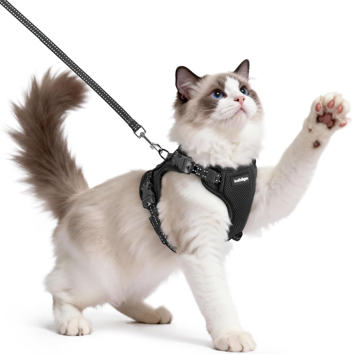 Cat Harness and Leash, Escape Proof Vest with 3 Adjustable Buckles, Soft Comfortable Kitten Harness, Easy to Wear