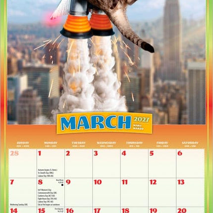 Avanti Cranky Kitties OFFICIAL | 2027 7 x 14 Inch (Hanging) Monthly Mini Wall Calendar | BrownTrout | Angry Cat Feline