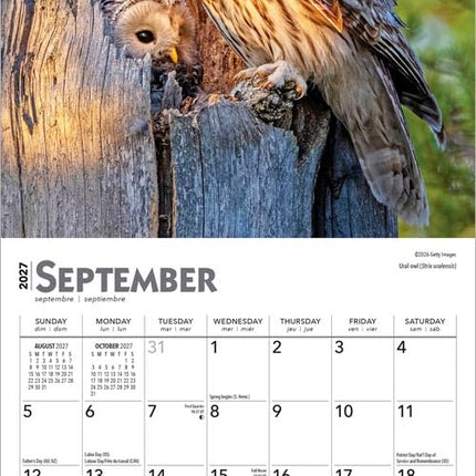 Owls | 2027 7 x 14 Inch (Hanging) Monthly Mini Wall Calendar | BrownTrout | Wildlife Animals Birds