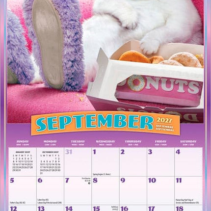 Avanti Cranky Kitties OFFICIAL | 2027 7 x 14 Inch (Hanging) Monthly Mini Wall Calendar | BrownTrout | Angry Cat Feline