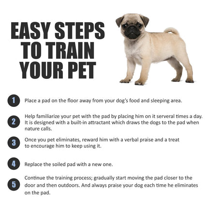 Puppy Pads Leak-Proof 100 Count 22"x 22" - Absorbent Pee Pads for Dogs with 6-Layer Design, Rapid Dry - photo 6
