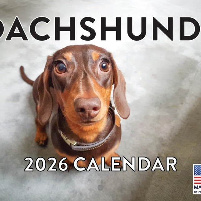 Dachshund Calendar 2026 Wall Monthly Dachshunds Gifts For Dachshund Lovers