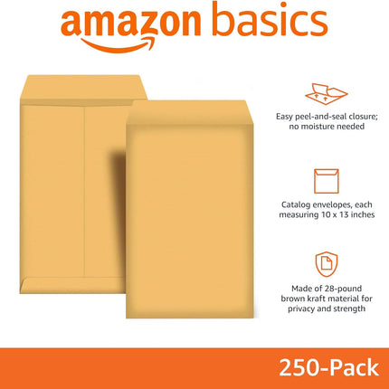 Catalog Mailing Envelopes,Peel and Seal,10x13 Inch,Brown Kraft,250 Count (Pack of 2)