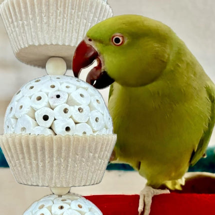 Shred and Destroy Bird Toy for Medium Birds - Conures, Cockatiels - Natural Sola Ball Hanging Chew Toy - 2 Pack - Boredom Buster Cage Toy