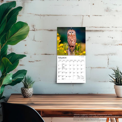 Owls | 2027 7 x 14 Inch (Hanging) Monthly Mini Wall Calendar | BrownTrout | Wildlife Animals Birds