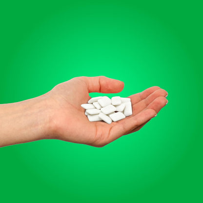 Gum | Aspartame Free Chewing Gum | 100% Xylitol | Natural Spearmint Flavored Gum, 55 Pieces (Pack of 1) - photo 4
