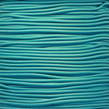 West Coast Paracord Bungee Elastic Nylon Shock Cord (1/8 Inch x 10 Feet, Turquoise)