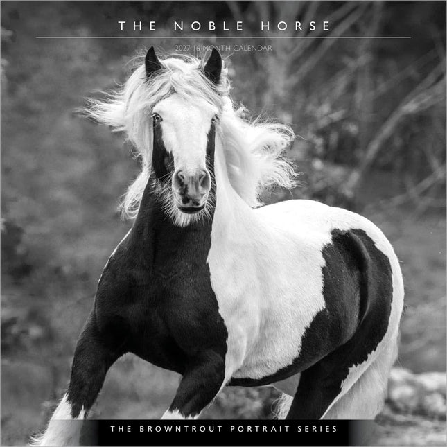 The Portrait Series: The Noble Horse