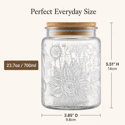 Vintage Glass Jar with Lid, 23.7oz Coffee Canister