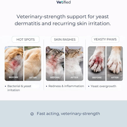 Yeast Dermatitis Spray for Dogs | Veterinary Strength Yeast Infection Treatment for Dogs, Paws and Ears | Topical Anti Yeast Care (+ 30 Day Vet Access) | 8 fl oz | NDC 86247-001-08