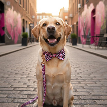Personalized Dog Collar Pink Leopard Print with Name & Phone Engraved on Rose Gold Metal Buckle for - photo 5