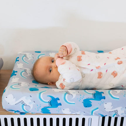 ALVABABY Stretchy Jersey Bassinet Sheet 2 Pack Changing Pad Covers Soft and Light Baby Cradle Mattress for Boys and Girls 2CZE01