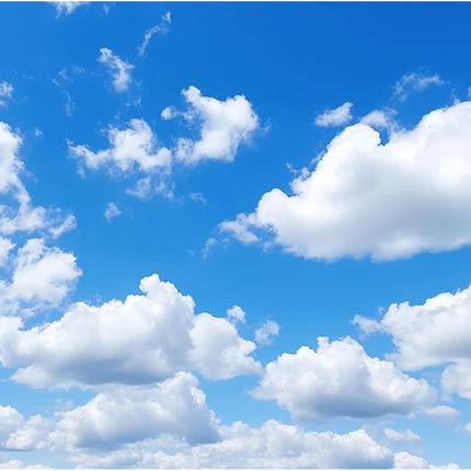 Blue Sky Aquarium Background Tiny Cloudy Cumulus Fish Tank Background White Clouds in Clear Blue Sky Reptile Tank Backgrounds Cloudy Blue Skys Reptile Enclosure Backgrounds Wallpaper Poster 48x18in