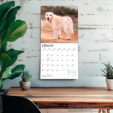 Golden Retrievers | 2027 12 x 24 Inch (Hanging) Monthly Square Wall Calendar | Foil Stamped Cover | Plastic-Free | BrownTrout | Animals Dog Breeds Retriever