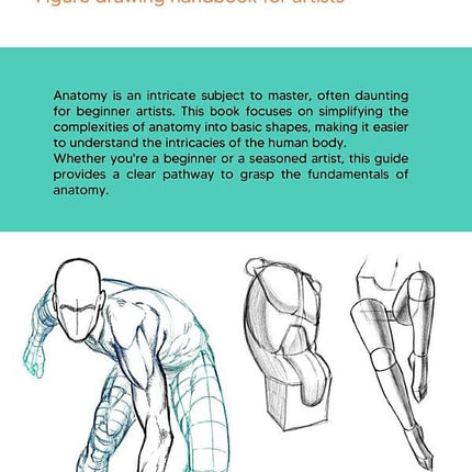 Pocket Anatomy: Figure Drawing Handbook in Color for Artists, Learning How to Draw Human Body by Simplifying the Complex Structures of the Body and Understanding the Human Form