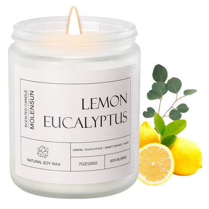 Sage Citrus Scented Candle, Soy Wax 7 oz