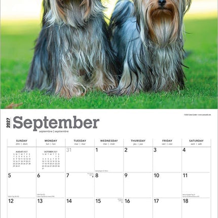 For the Love of Yorkshire Terriers | 2027 14 x 24 Inch (Hanging) Monthly Deluxe Wall Calendar | Foil Stamped Cover | Plastic-Free | BrownTrout | Animal Small Dog Breeds
