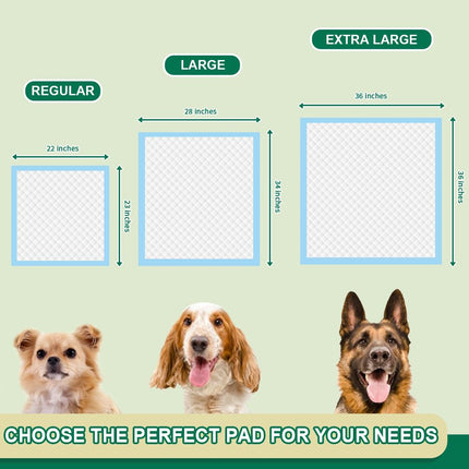 Tapetes para cachorros 22"x23" 100 unidades | Tapetes de entrenamiento para perros a prueba de fugas de 6 capas y súper absorbentes | Tapetes desechables para baño de cachorros, perros, gatos y conejos | Azul y blanco