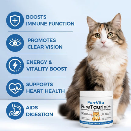 PurrVita Taurine for Cats, Pure Taurine Supplement Powder for Cats, Support Feline Vision, Heart & Immune, 200 Grams (1)
