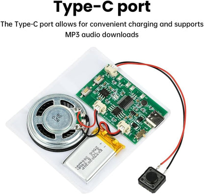 DIY Birthday Card Sound Module with Push Button and Speaker - photo 2