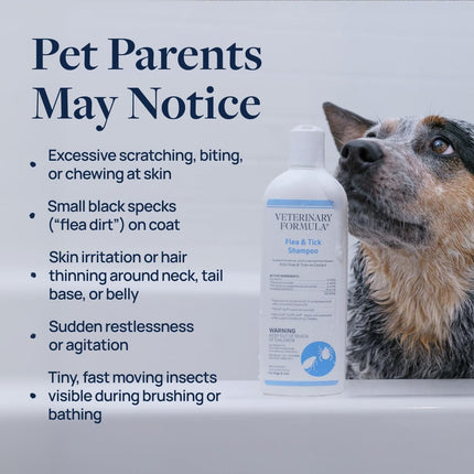 Veterinary Formula Flea and Tick Shampoo for Dogs and Cats, Flea and Tick Control Formula Helps Soothe Itchy Skin While Cleansing, Paraben, Dye, and Soap Free, 2 Pack, 16 fl oz Each