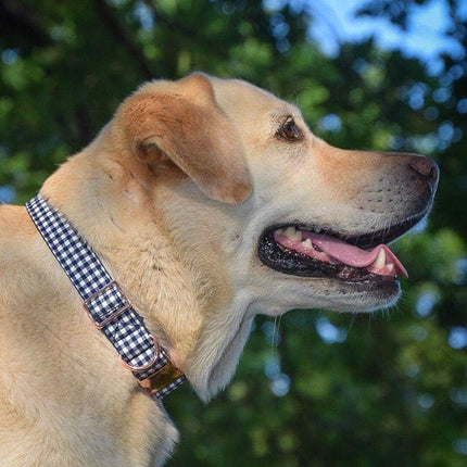ARING PET Bowtie Dog Collar Adjustable Collars with Bow Tie for Small Medium Large Boy Girl Dogs