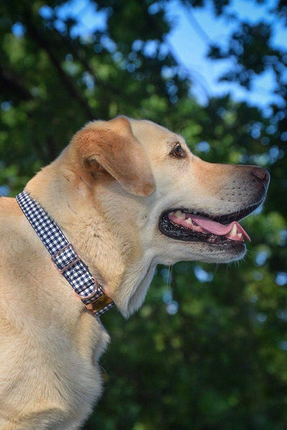 Adjustable Bowtie Dog Collar for Small, Medium, and Large Dogs - photo 4