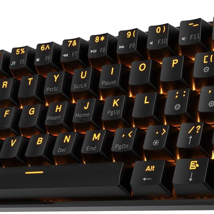 Wireless 60% Triple Mode BT5.0/2.4G/USB-C Mechanical Keyboard, 61 Keys Wireless Mechanical Keyboard, Compact Gaming Keyboard with Software (Hot Swappable Blue Switch, Black)