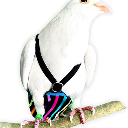 FLYPER Adjustable Mini Bird Diaper | Reusable, Washable Cloth | Comfort Fit for Parrots, Cockatiels, and Other Small Birds | Fashionable Avian Accessories Butterfly, Candy Stripe, Mini Size 5