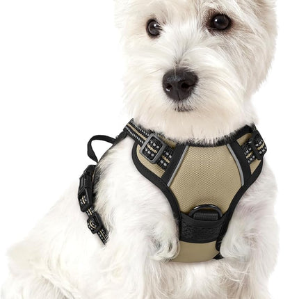 rabbitgoo Dog Harness No Pull with 2 Leash Clips, Adjustable Soft Padded, Reflective Oxford No Choke Pet Vest with Easy Control Handle for Puppy, Beige, XS