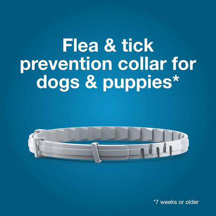 Flea & Tick Collar For Dogs Over 18 lbs., Treatment & Prevention, Vet-Recommend, 8 Month Protection