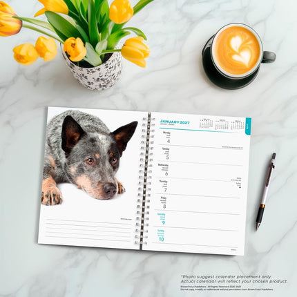 Blue Heelers | 2027 6 x 7.75 Inch Spiral-Bound Wire-O Weekly Engagement Planner Calendar | New Full-Color Image Every Week | BrownTrout | Animals Dog Breeds Pets