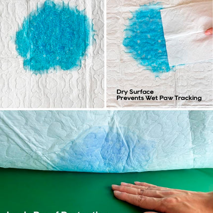 All-Absorb, Pequeño 17.5" x 23.5", 120 Unidades, Tapetes de Entrenamiento para Perros y Cachorros, Ultra Absorbentes y Eliminadores de Olores, Tapetes de Entrenamiento para Baño de 5 Capas a Prueba de Fugas con Superficie de Secado Rápido, Azul, A05