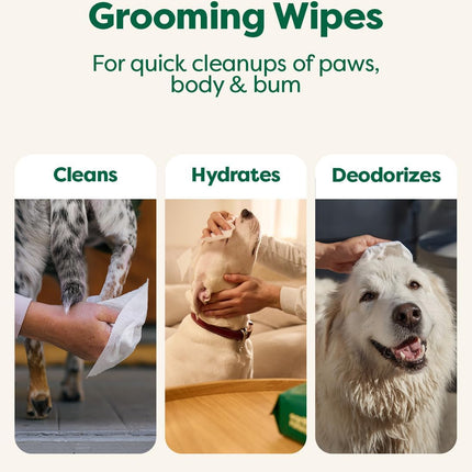 Earth Rated XL Pet Wipes for Dogs & Cats, Unscented Hypoallergenic, 60 Ct