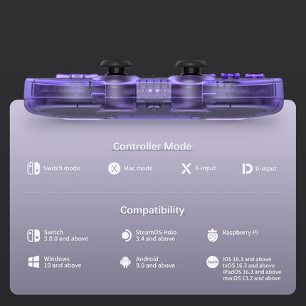 AKNES 8Bitdo SN30 Pro Wireless Bluetooth Controller, Hall Effect Joystick, with Rumble Vibration USB-C Cable Gamepad Compatible with Switch/Switch 2,Windows, Mac OS, Android, Steam - Crystal Purple