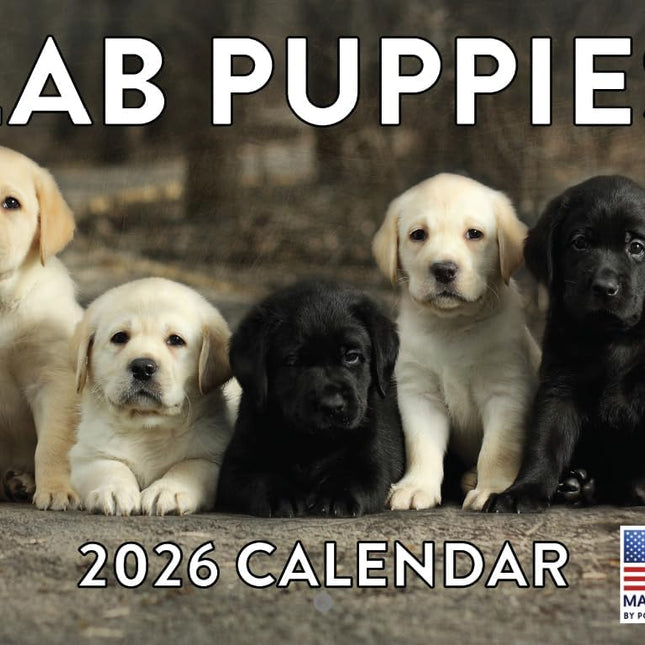 Lab Puppy Calendar 2026 Labrador Puppies Monthly Wall Calender 12 Month