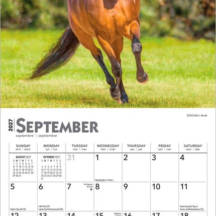Horse Lovers | 2027 7 x 14 Inch (Hanging) Monthly Mini Wall Calendar | BrownTrout | Animals Equestrian