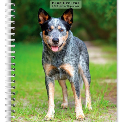 Blue Heelers | 2027 6 x 7.75 Inch Spiral-Bound Wire-O Weekly Engagement Planner Calendar | New Full-Color Image Every Week | BrownTrout | Animals Dog Breeds Pets