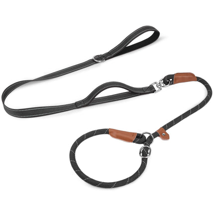 Slip Lead Dog Leash with Dual Handle, No Pull, Black, 6FT x 3/8"