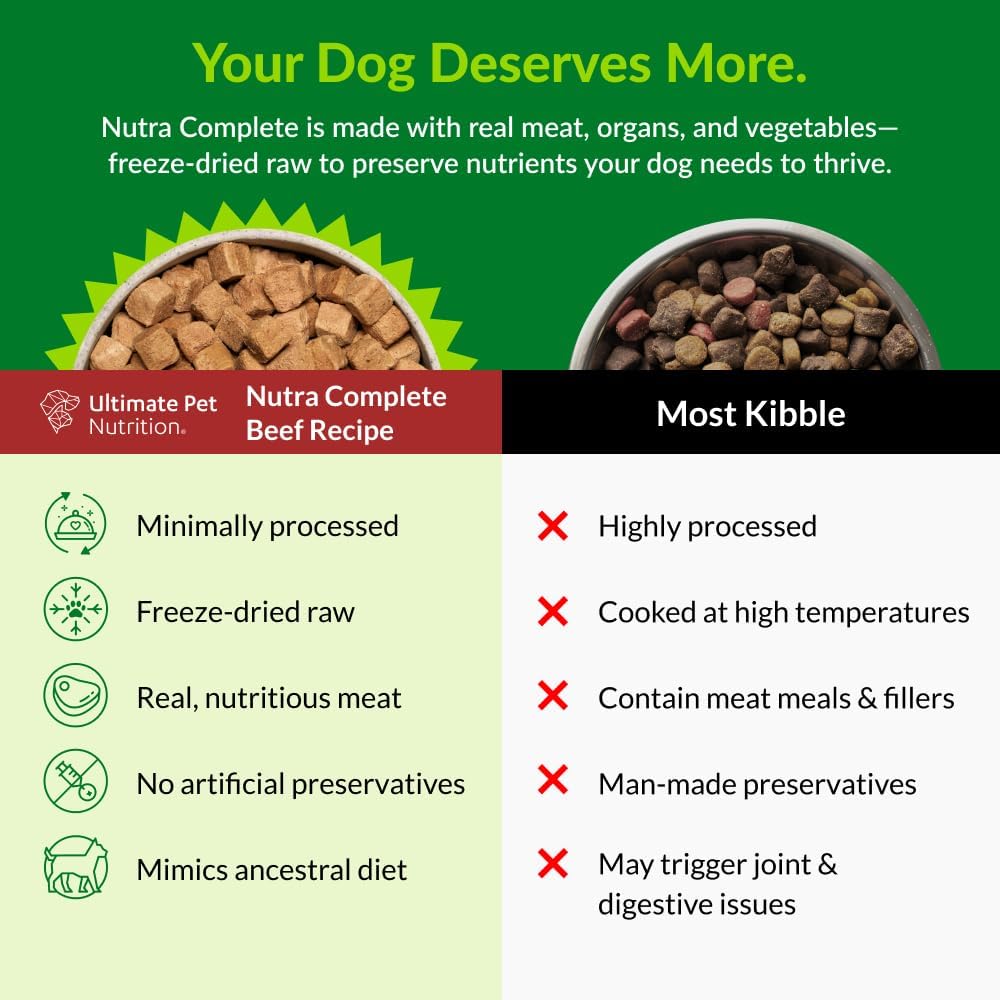 Freeze-Dried Raw Beef Dog Food, 1 lb, Beef and Organs with Fruits and Vegetables - photo 3