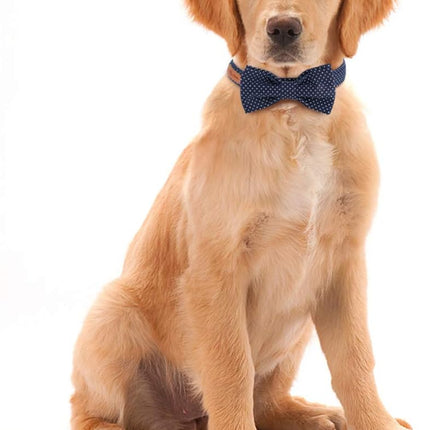 Lionet Paws Boy Dog Collar with Bowtie, Comfortable Adjustable Cute Navy Blue Bow Tie Collar for Male Dogs Gift, Small, Neck 10-16 inches