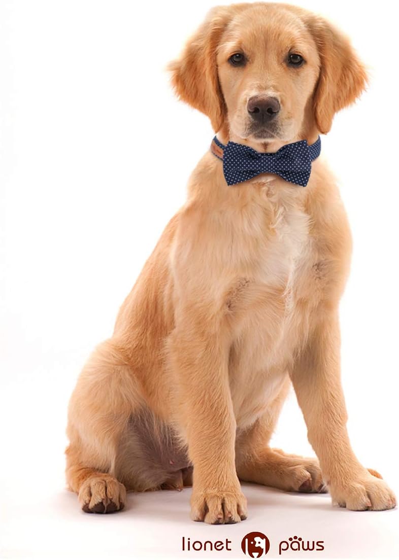 Boy Dog Collar with Navy Blue Bow Tie, Small - photo 4