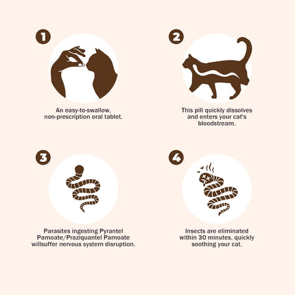 Tapeworm Dewormer (praziquantel Tablets) for Cats and Kittens 6 Weeks and Older, 50-Count