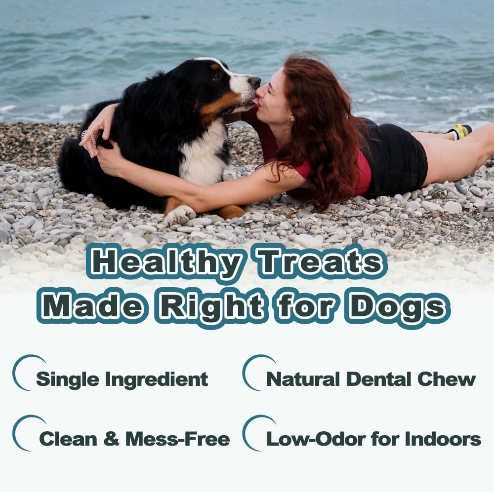 Dog Jerky, 100% Fish Skin Dog Treats, Tough Grain-Free Rawhide Alternative, Natural Dog Jerky Treats - photo 3