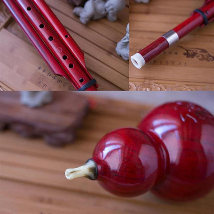 Bass D Key Hulusi ABS Resin Cucurbit Flute Folk Musical Instrument Professional Chinese Gourd Flute Professional Hulusi