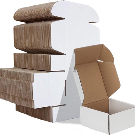 HORLIMER 4x4x2 inches Shipping Boxes Set of 100, White Corrugated Cardboard Box Literature Mailer